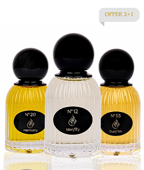 Premium Package P100